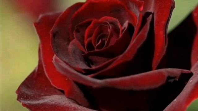 399 Сон 19 .03 .21. смотреть онлайн