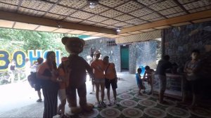 Тур по острову Бохоль, страусы, лес красных деревьев, долгопята - Жизнь на Филиппинах