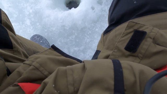Не плохая рыбалка в глухозимье!!! Ловля окуня в не погоду. Зимняя рыбалка