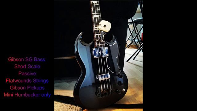 Muse - Plug in Baby Bass Cover with 6 different basses! (Short and Long Scale) смотреть онлайн