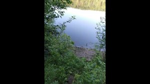 Поездка на рыбалку