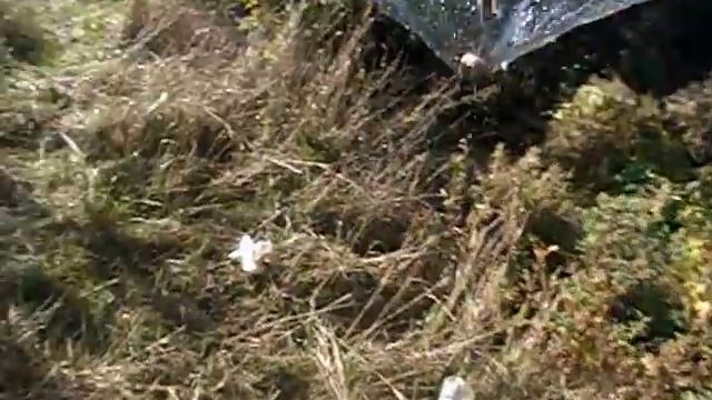 ловля мелкой рыбы в микро речке смотреть онлайн