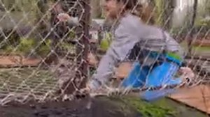 Лазалка в Гидропарке #Vlog