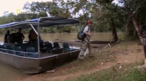 Самые удивительные фотографии National Geographic: Секретные голоса HD 1080