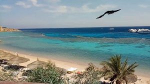 FARAANA REEF RESORT 4,  Красное море, Шарм-эль-Шейх, пляж. Фараана Риф Резорт 4,бухта Рас Ум Эль Си