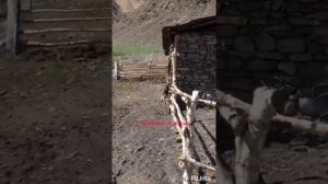 Къвалиш,, 3000м, над уровнем моря,, Кутлабский участок, Тляратинский район,,,
