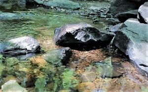 Нежно льётся ручеёк
20 минут релакса