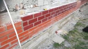 минитрактор из мотоблока брайт