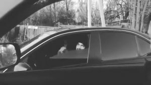 Управление Собственной Безопасности