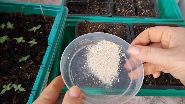 Как пикировать ЭУСТОМУ правильно смотреть онлайн