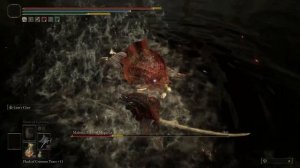 THE BERSERKER ARMOR with Gael and Blaidd Moveset's - Elden Ring Mods