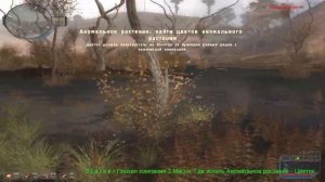 S.t.a.l.k.e.r Плохая компания 2 Масон. Где искать Аномальное растение - Цветок.