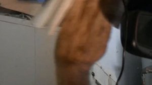 Отваливается присоска от лобового стекла?  НАТРИ ЕЕ ЭТИМ И ОНА  БОЛЬШЕ НЕ ОТВАЛИТСЯ!