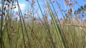 Modern music for Pilates practice [60 minutes of Music for Pilates] Songs Of Eden Pilates Songs