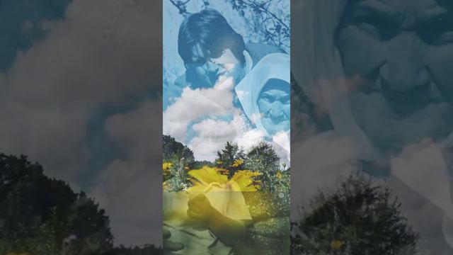 Тем кто уже ушёл, но которых всё ещё люблю смотреть онлайн