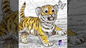 cute baby tiger (cub) painting through pbn