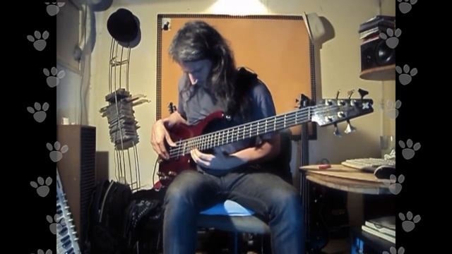 The Pink Panther - Tapping Bass  - La Pantera Rosa смотреть онлайн