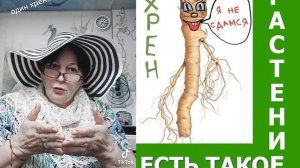 Есть такое растение - хрен
