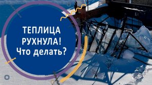 Теплица рухнула! Что делать?