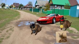 Шлёпа история 6 часть Дача