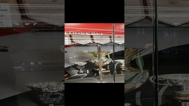 VID_20240810_165424.mp4