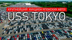 Один день на USS TOKYO❗️Купили сами TLC PRADO❗️Крупнейший в мире АУКЦИОН АВТО ИЗ ЯПОНИИ.