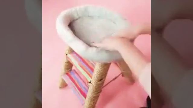 Многоэтожная кроватка для котят смотреть онлайн