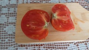 гном томатный алое сердце