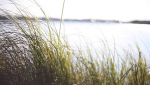 Билимбаевский пруд. Отличный выбор для отдыха на уикэнд!