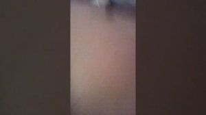 Что делать если у тебя сломалась мышка
