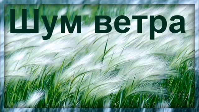 Шум ветров звуки. Шум ветра. Шум ветра для детей. Звучание ветра. Шум ветра картинка.