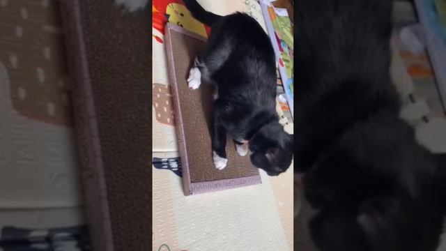 Обожаю!...❤❤❤