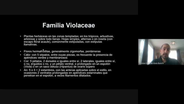 BIO165: Rosidas parte 1 смотреть онлайн