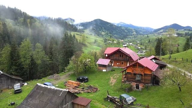 Лучшая фортепианная музыка ? Помогает снять усталость из за стресса, успокаивает нервную систему #1