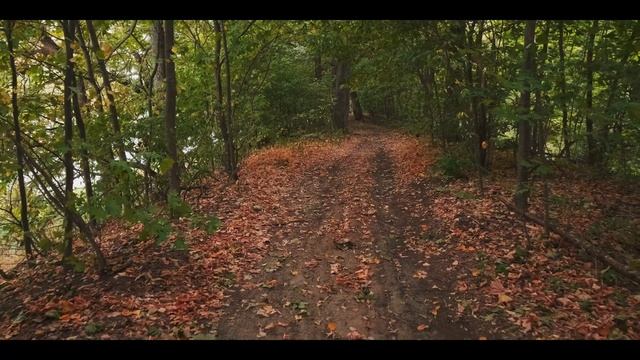 fujifilm X-T4 / F-log ETERNA смотреть онлайн