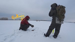 Ищем окуня в глухозимье по затонам