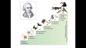Ученые-биологи. История развития биологии как науки. Вклад ученых