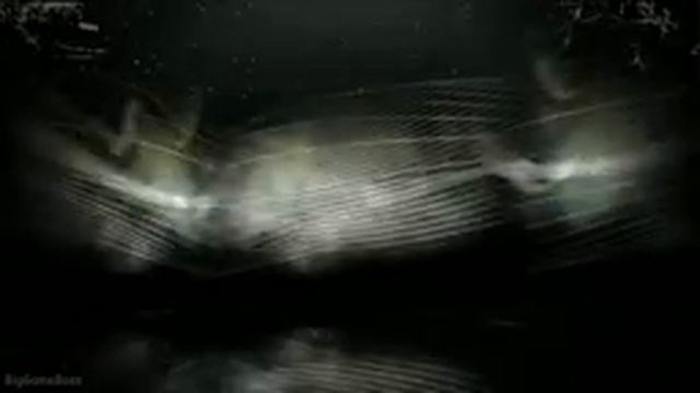 Need for Speed Shift PS3 Gameplay Full Game Walkthrough смотреть онлайн