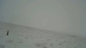 Как распутать следы зайца-русака.