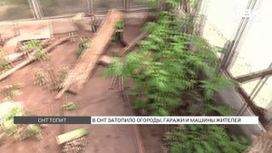 СНТ «Палати» затопило глиной