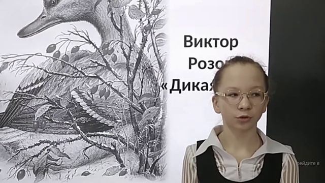 Розов дикая утка читать. Розов дикая утка живая классика.