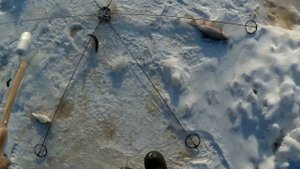 Рыбалка на хапуги в Сибирских реках!!! Рыбалка 2020!!! Супер уловистая снасть "ХАПУГА" в деле!!!