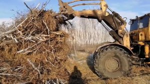 Трактор т-150 застрял лес заготовка дров 2020 к-700 огромный  костёр  деревенское кино деревенщина