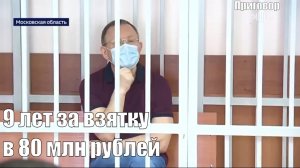 Бывший глава Балашихи получил 9 лет за взятку в 80 млн рублей