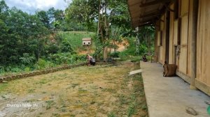 Discovering a snake's lair, Taking care of her husband attacked by snakes _ Phuong's family life