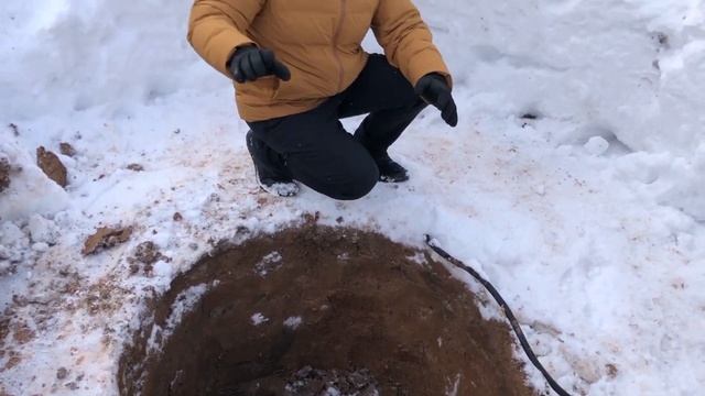 Посадка крупномерных растений смотреть онлайн