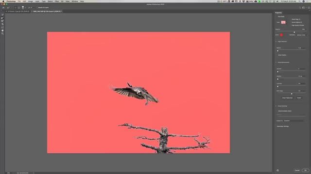 How to REPLACE a SKY Using PHOTOSHOP VERSUS LUMINAR 4 смотреть онлайн
