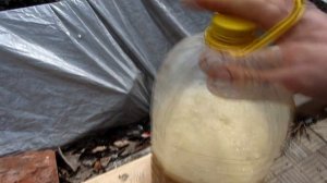 Железный купорос весной