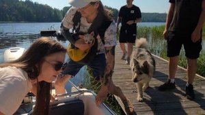 Карелия на машине | Ладожское озеро | Путешествуем по северной природе