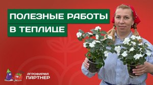 ЧТО ВЫСАДИТЬ В ТЕПЛИЦУ В КОНЦЕ АПРЕЛЯ?